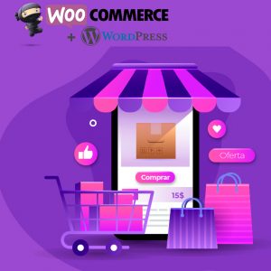 Activa | Programa de reactivación económica para PYMES | Curso de creación de Tienda en Línea con WooCommerce y wordpress