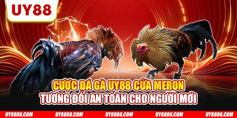 Cược đá gà UY88 cửa meron tương đối an toàn cho người mới