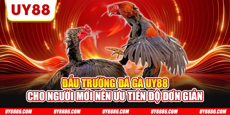 Đấu trường đá gà UY88 cho người mới nên ưu tiên độ đơn giản